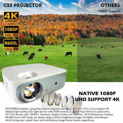 4K True 1080P High-Definition Projector C55