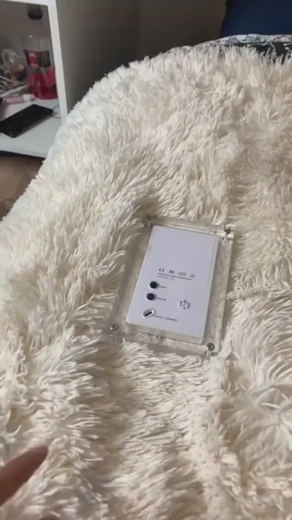 21